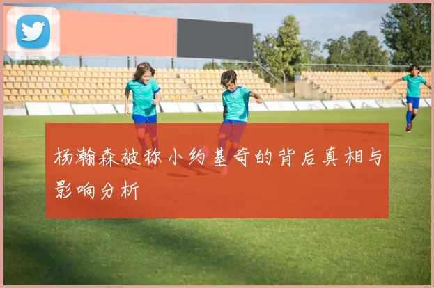 杨瀚森被称小约基奇的背后真相与影响分析