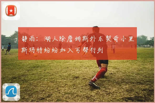 静雨：湖人除詹姆斯外东契奇小里斯玛特纷纷加入丐帮行列